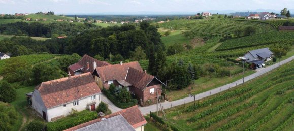 4-Zimmer Gewerbliche Immobilie in Bad Radkersburg, Austria, Nr. 129601 15