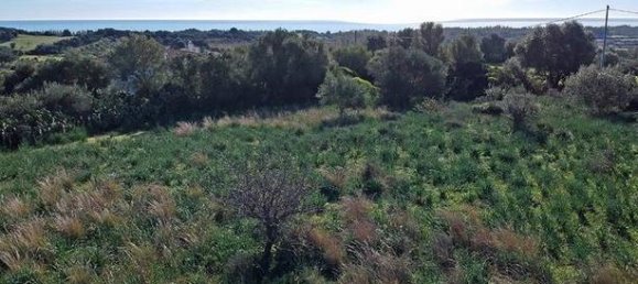 12000m² Land in Bari Sardo, Italy No. 251414 2