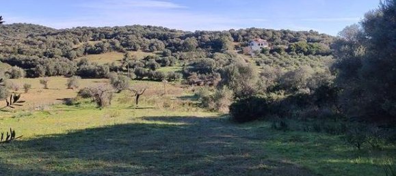 12000m² Land in Bari Sardo, Italy No. 251414 3