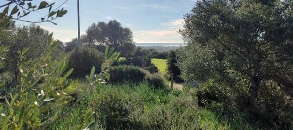 12000m² Land in Bari Sardo, Italy No. 251414 4