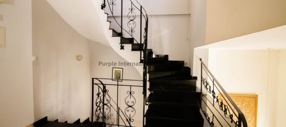 3 Schlafzimmer Villa in Paphos, Cyprus, Nr. 956 6