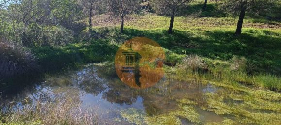 1 Schlafzimmer Grundstück in Castro Marim, Portugal, Nr. 137750 9