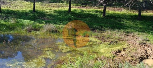 1 Schlafzimmer Grundstück in Castro Marim, Portugal, Nr. 137750 13