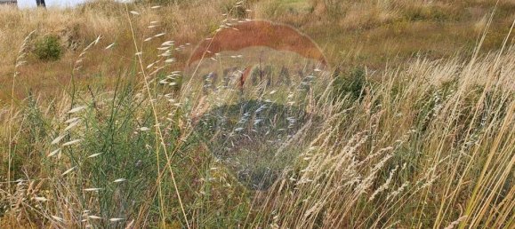 726m² Land in Braganca, Portugal No. 88230 8