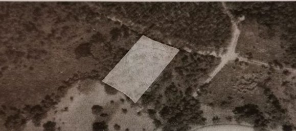 Grundstück in Vila Nova de Poiares, Portugal, Nr. 295321 4