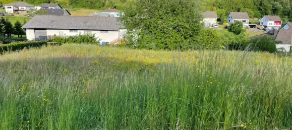 Terreno en Rhineland-Palatinate, Germany No. 226849 2