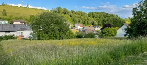 Terreno en Rhineland-Palatinate, Germany No. 226849 3