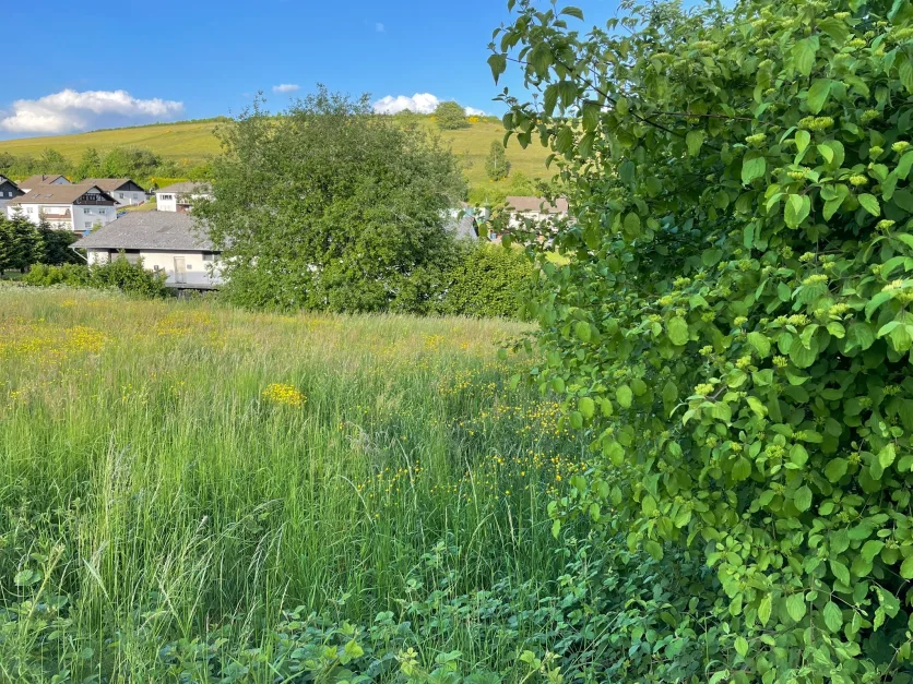 Terreno en Rhineland-Palatinate, Germany No. 226849