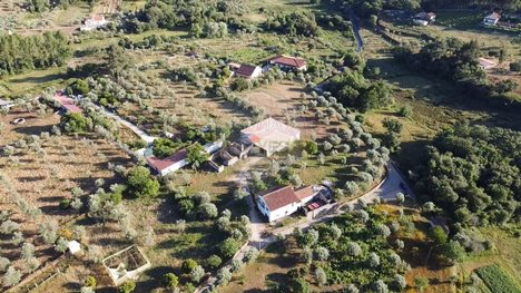 3 bedrooms House in Alvaiazere, Portugal No. 186023