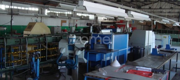 674m² Warehouse in Vila de Cucujaes, Portugal No. 20186 12