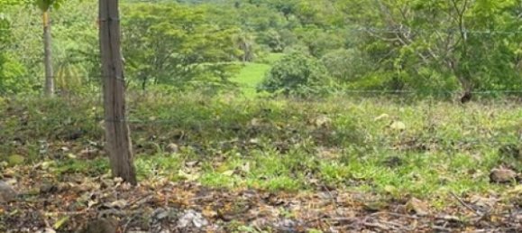 6 dormitorios сasa en venta en Garabito, Puntarenas, Costa Rica № 750 2