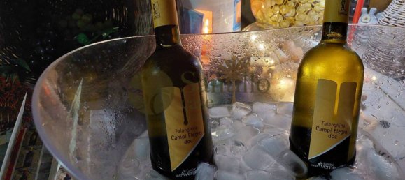 Grundstück in Sant'Andrea del Garigliano, Italy 10000m², Nr. 336136 39