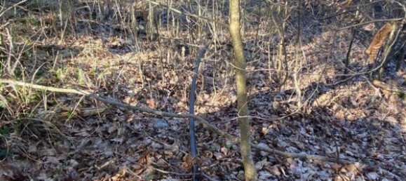 19 rooms House in Tiglieto, Italy No. 176625 23