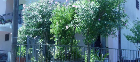 Apartamento de 3 dormitorios en Deiva Marina, Italy No. 342743 6