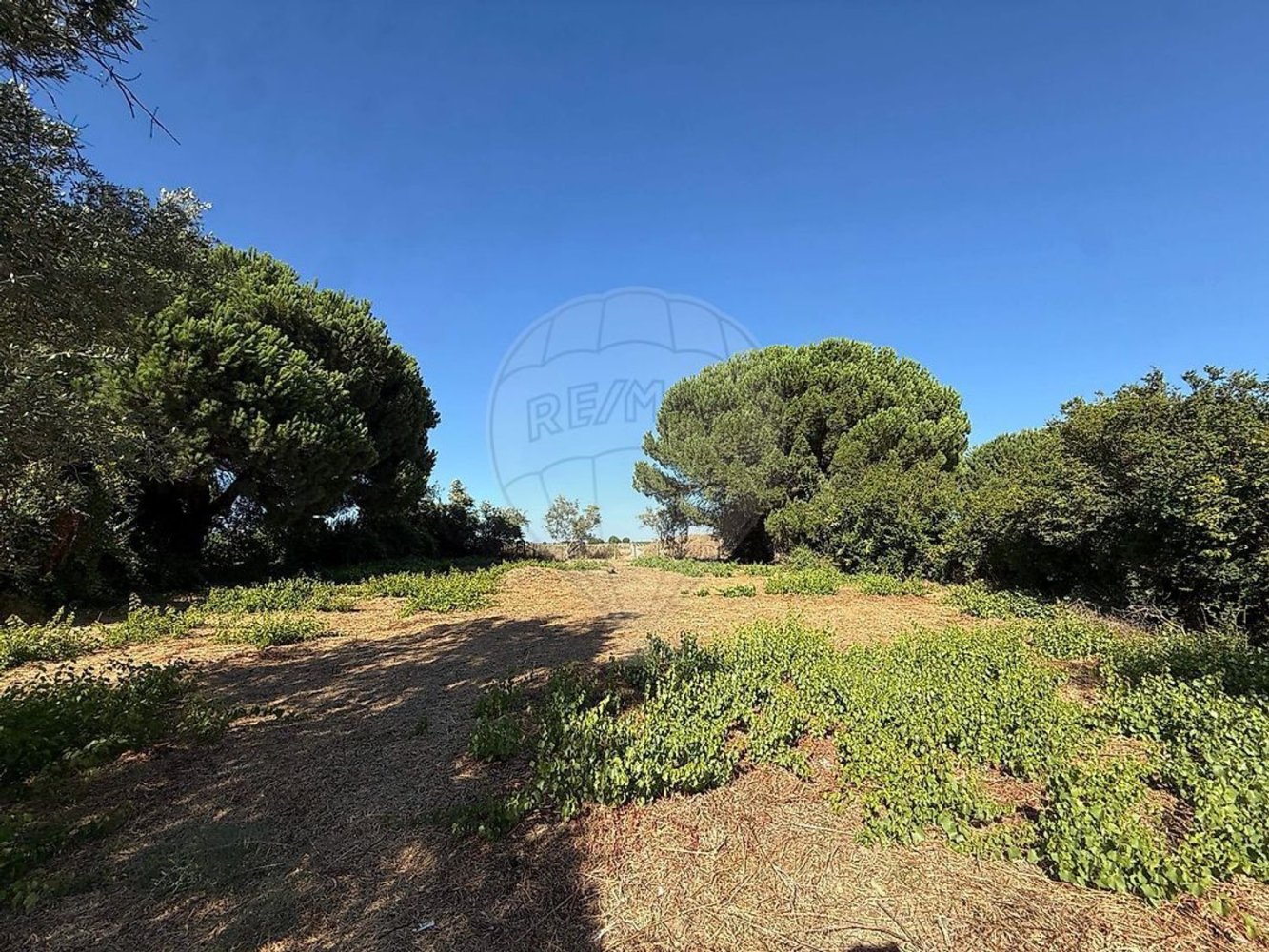  Land in Palmela, Portugal No. 281743