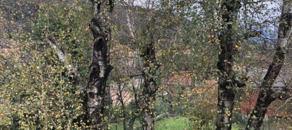 10-salle Villa à Montegrino Valtravaglia, Italy No. 184230 14