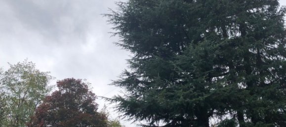 10-salle Villa à Montegrino Valtravaglia, Italy No. 184230 15