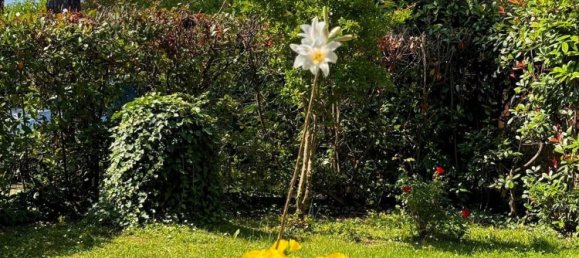 5 rooms Apartment in Lucca, Italy No. 62094 15