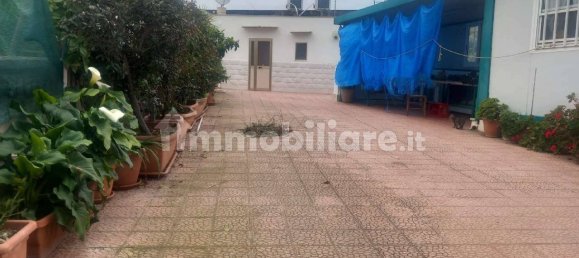 2 rooms Villa in Bisceglie, Italy No. 108199 2