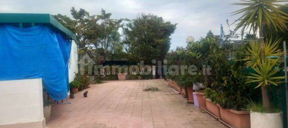 2 rooms Villa in Bisceglie, Italy No. 108199 3