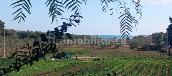 2 rooms Villa in Bisceglie, Italy No. 108199 7