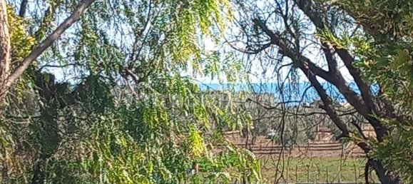 2 rooms Villa in Bisceglie, Italy No. 108199 4