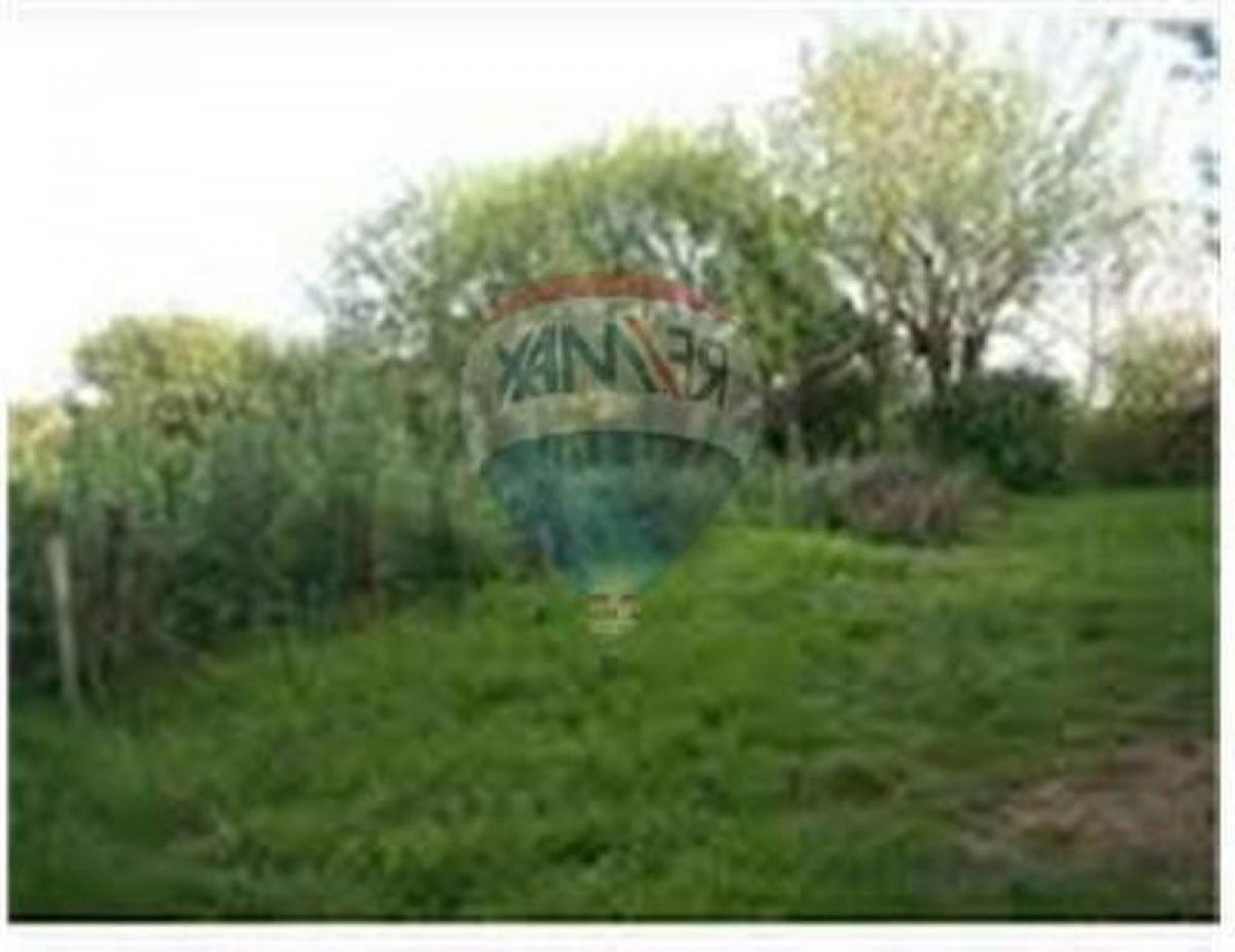  Land in Bermudez, Argentina No. 111334
