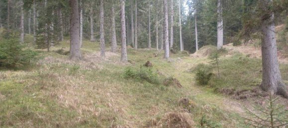 Terrain à Treffen am Ossiacher See, Austria No. 164177 2