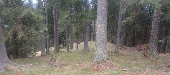 Terrain à Treffen am Ossiacher See, Austria No. 164177 3