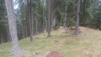 Terrain à Treffen am Ossiacher See, Austria No. 164177