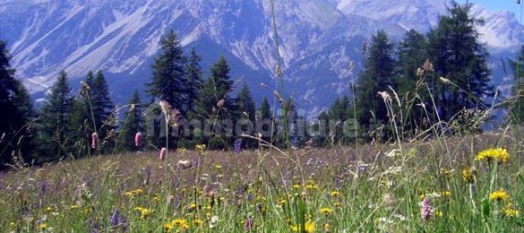 18m² Garage in Cesana Torinese, Italy No. 350223 3