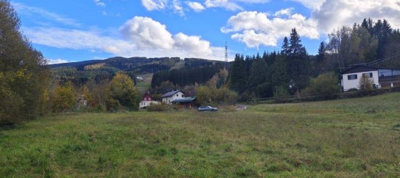 Земельный участок в Шпиталь ам Земмеринг, Австрия № 212479 9