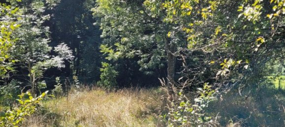 Grundstück in Schwäbisch Hall, Germany, Nr. 354931 3