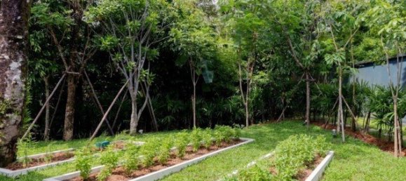 3 bedrooms Villa in Phuket, Thailand No. 12373 17