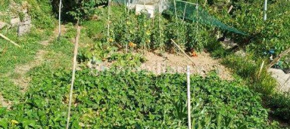 Villa de 3 dormitorios en Bargagli, Italy No. 262322 23