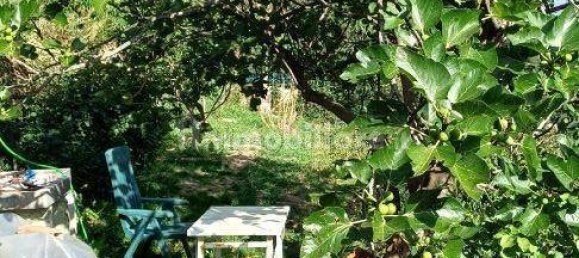 Villa de 3 dormitorios en Bargagli, Italy No. 262322 25