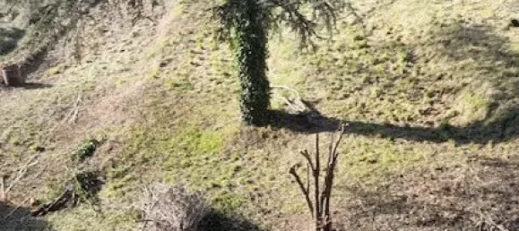 Grundstück in Contes, France 1162m², Nr. 101140 4