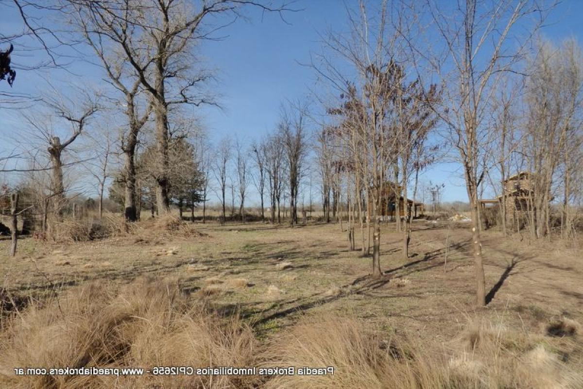 Grundstück in Cordoba, Argentina, Nr. 36743