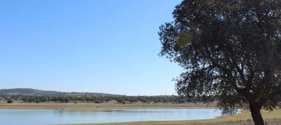 52500m² Land in Alcacovas, Portugal No. 121907 39