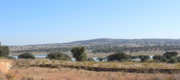 52500m² Land in Alcacovas, Portugal No. 121907 37