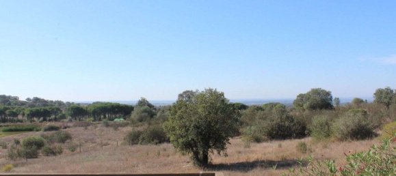 52500m² Land in Alcacovas, Portugal No. 121907 41