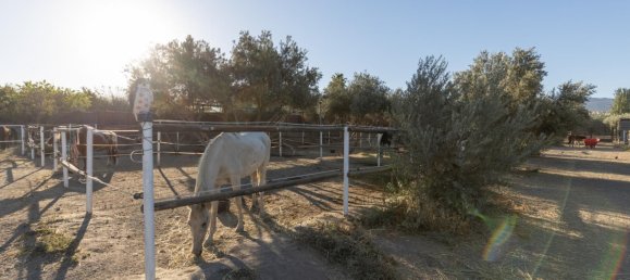 1 bedroom House in La Zubia, Spain No. 168911 41