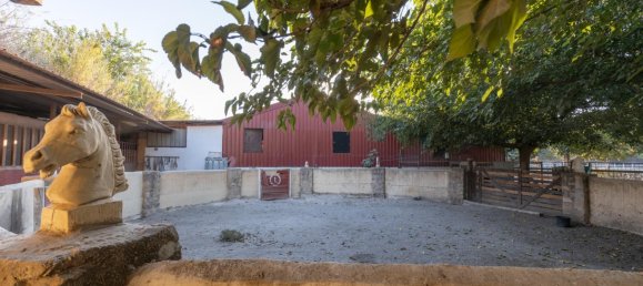 1 bedroom House in La Zubia, Spain No. 168911 16