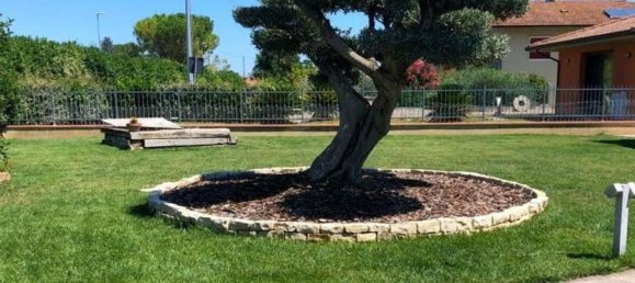 9 rooms House in Roncofreddo, Italy No. 156233 2