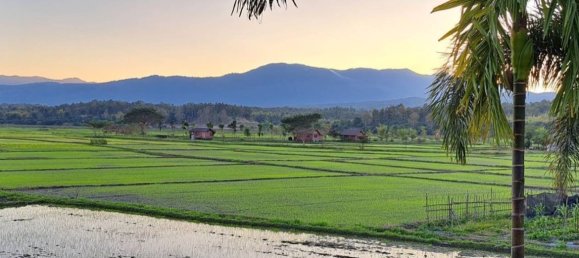 5 Schlafzimmer Haus in Chiang Mai, Thailand, Nr. 59577 2