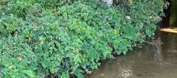  Land in Chiang Mai, Thailand No. 26956 7