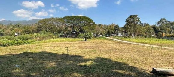  Land in Chiang Mai, Thailand No. 26956 8