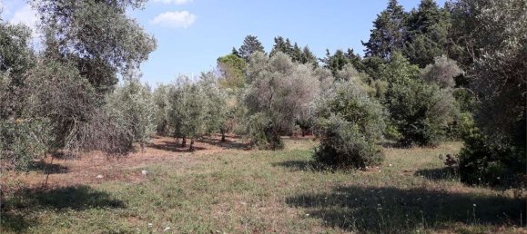 Terrain à Itri, Italy 6500m² No. 171401 4