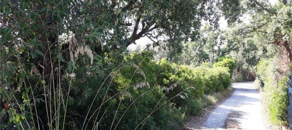 Terrain à Itri, Italy 6500m² No. 171401 3