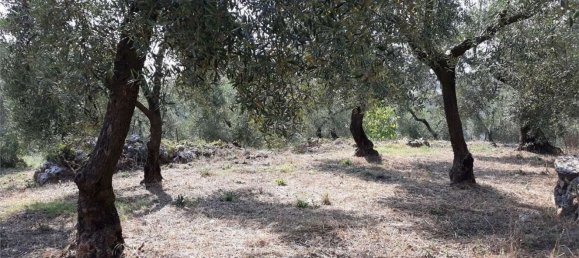 Terrain à Itri, Italy 6500m² No. 171401 9